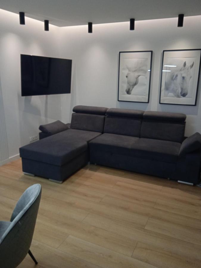 ラドムApartament Olsztynskaアパートメント エクステリア 写真